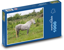 Divoký kůň - Camargský kůň, Francie  Puzzle 1000 - 60x46 cm