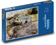 Frog - amphibian, animal Puzzle 1000 pieces - 60 x 46 cm 
