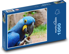 Modrý papoušek - pták, zvíře Puzzle 1000 dílků - 60 x 46 cm
