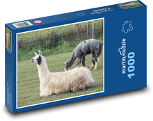 Lama - zvíře, pastvina Puzzle 1000 dílků - 60 x 46 cm
