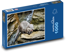 Vydra - zvíře, dravec Puzzle 1000 - 60x46 cm