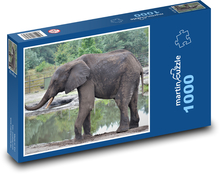 Slon - safari, zvíře Puzzle 1000 dílků - 60 x 46 cm