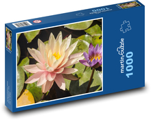 Ľalie - kvet, rybník Puzzle 1000 dielikov - 60 x 46 cm 