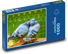 Holubi - ptáci, pár Puzzle 1000 dílků - 60 x 46 cm