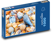 Skořápky - korýši, moře Puzzle 1000 dílků - 60 x 46 cm