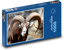 Koza - zwierzę, rogi Puzzle 1000 elementów - 60x46 cm