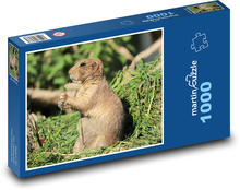 Präriehund - Tier, Nagetier Puzzle 1000 Teile - 60 x 46 cm