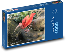 Červený ibis - pták, zvíře Puzzle 1000 dílků - 60 x 46 cm