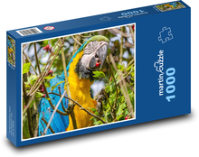Exotický papoušek - pták, zvíře Puzzle 1000 dílků - 60 x 46 cm