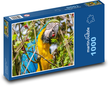Exotischer Papagei - Vogel, Tier Puzzle 1000 Teile - 60 x 46 cm