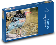 Ibis - Vogel, Feder Puzzle 1000 Teile - 60 x 46 cm