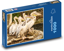 Pelikáni - ptáci, zvířata Puzzle 1000 dílků - 60 x 46 cm