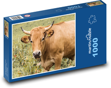 Kuh - Hörner, Tier Puzzle 1000 Teile - 60 x 46 cm