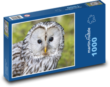 Sivá sova - vták, zviera Puzzle 1000 dielikov - 60 x 46 cm 