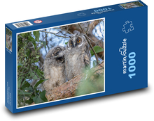 Barsch - Greifvogel, Eule Puzzle 1000 Teile - 60 x 46 cm