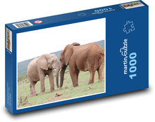 Sloni - Afrika, Safari Puzzle 1000 dílků - 60 x 46 cm