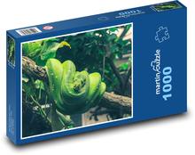 Eine Python an einem Baum - ein Tier, eine Schlange Puzzle 1000 Teile - 60 x 46 cm