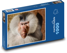 Pavián - zvíře, opice  Puzzle 1000 dílků - 60 x 46 cm