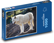 Vlk - zvíře, dravec Puzzle 1000 dílků - 60 x 46 cm
