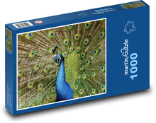 Peacock - bird, peacock feathers Puzzle 1000 pieces - 60 x 46 cm 