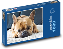 Französische Bulldogge - Hund, Haustier Puzzle 1000 Teile - 60 x 46 cm