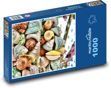 Muscheln - Schalentiere, Meer Puzzle 1000 Teile - 60 x 46 cm