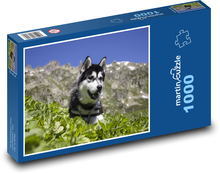 Sibírsky husky - pes, domáce zviera Puzzle 1000 dielikov - 60 x 46 cm 