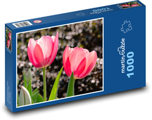 Červený tulipán - kvet, kvet Puzzle 1000 dielikov - 60 x 46 cm 