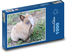 Królik krasnoludzki - zwierzę domowe, zwierzę Puzzle 1000 elementów - 60x46 cm