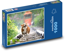 Pes corgi - koľaje, vlak Puzzle 1000 dielikov - 60 x 46 cm 