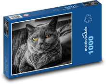 Britische Kurzhaarkatze Puzzle 1000 Teile - 60 x 46 cm