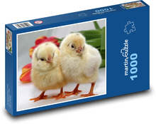 Kurča - vták, zviera Puzzle 1000 dielikov - 60 x 46 cm 