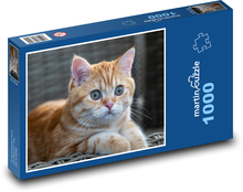 Katzenmehl, Tier Puzzle 1000 Teile - 60 x 46 cm