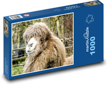 Wielbłąd - głowa, zoo Puzzle 1000 elementów - 60x46 cm