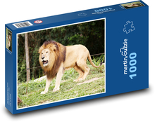 Lion - animal, king of the jungle Puzzle 1000 pieces - 60 x 46 cm 