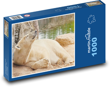 Lední medvěd - Aljaška, savec Puzzle 1000 dílků - 60 x 46 cm