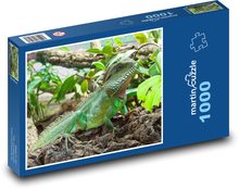Iguana - lizard, reptile Puzzle 1000 pieces - 60 x 46 cm 