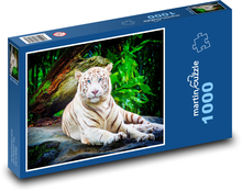 Bílý tygr - zvíře, zoo Puzzle 1000 dílků - 60 x 46 cm