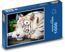 Tygrys - albinos, duży kot Puzzle 1000 elementów - 60x46 cm
