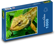 Ještěrka - plaz, zvíře Puzzle 1000 dílků - 60 x 46 cm