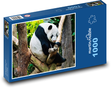 Panda - zwierzę, zoo Puzzle 1000 elementów - 60x46 cm