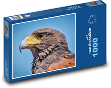 Jastrab - zviera, vták Puzzle 1000 dielikov - 60 x 46 cm 
