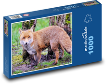 Líška - cicavec, zviera Puzzle 1000 dielikov - 60 x 46 cm