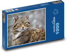 Kočka - zvíře, mazlíček Puzzle 1000 dílků - 60 x 46 cm