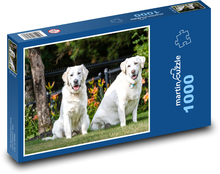 Zlatý retriver - psy, domáce zvieratá Puzzle 1000 dielikov - 60 x 46 cm 