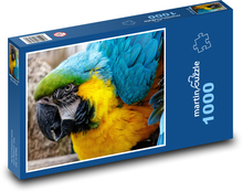 Papuga - ptak, zoo Puzzle 1000 elementów - 60x46 cm