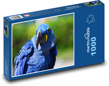 Niebieska papuga - ptak, zwierzę Puzzle 1000 elementów - 60x46 cm