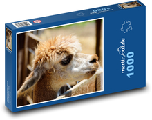 Alpaka - zviera, zoo Puzzle 1000 dielikov - 60 x 46 cm 