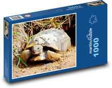 Želva - plaz, zvíře Puzzle 1000 dílků - 60 x 46 cm