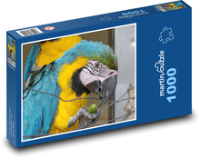 Parrot - Ara, Bird Puzzle 1000 pieces - 60 x 46 cm 
